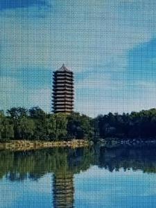 鸿缘电子