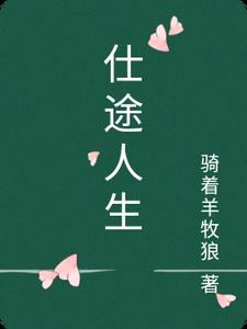 仕途人生游戏