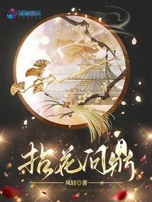 拈花问鼎书海阁