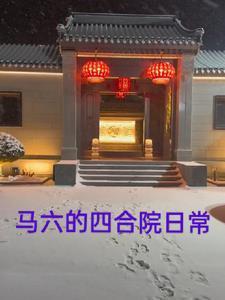 四合院马六的日常生活
