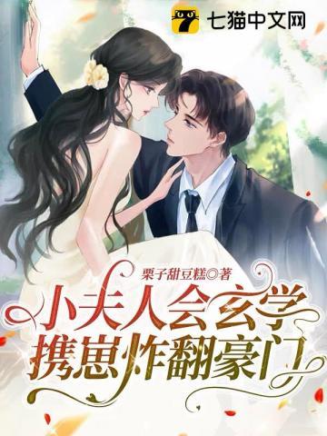 小夫人袖侧免费阅读